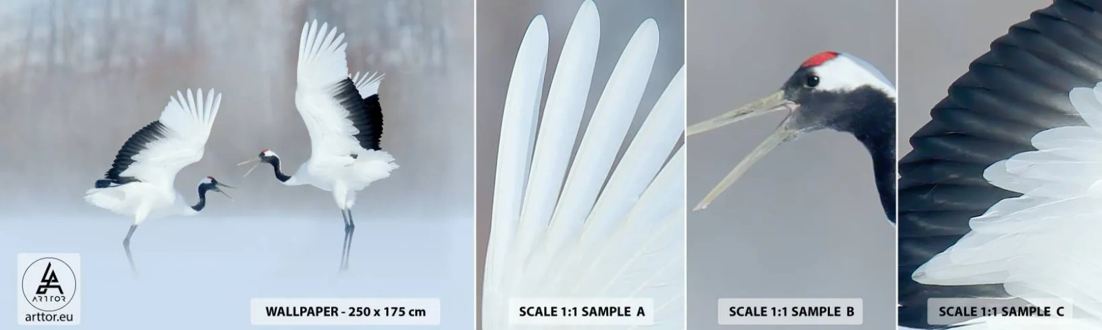 Amostra de papel de parede autocolante Deluxe Sticker - Dança no nevoeiro - Inverno, Pássaro, Natureza - 100x30 cm