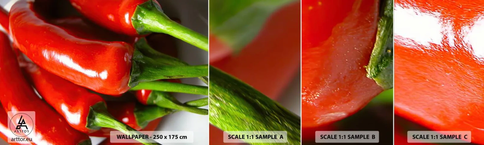Amostra de Papel de Parede Standard Eco - Suculento, brilhante, liso - Gastronomia, Pimenta, Vegetais - 100x30 cm