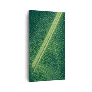 Quadro em tela - A estrutura da vegetação - 45x80 cm