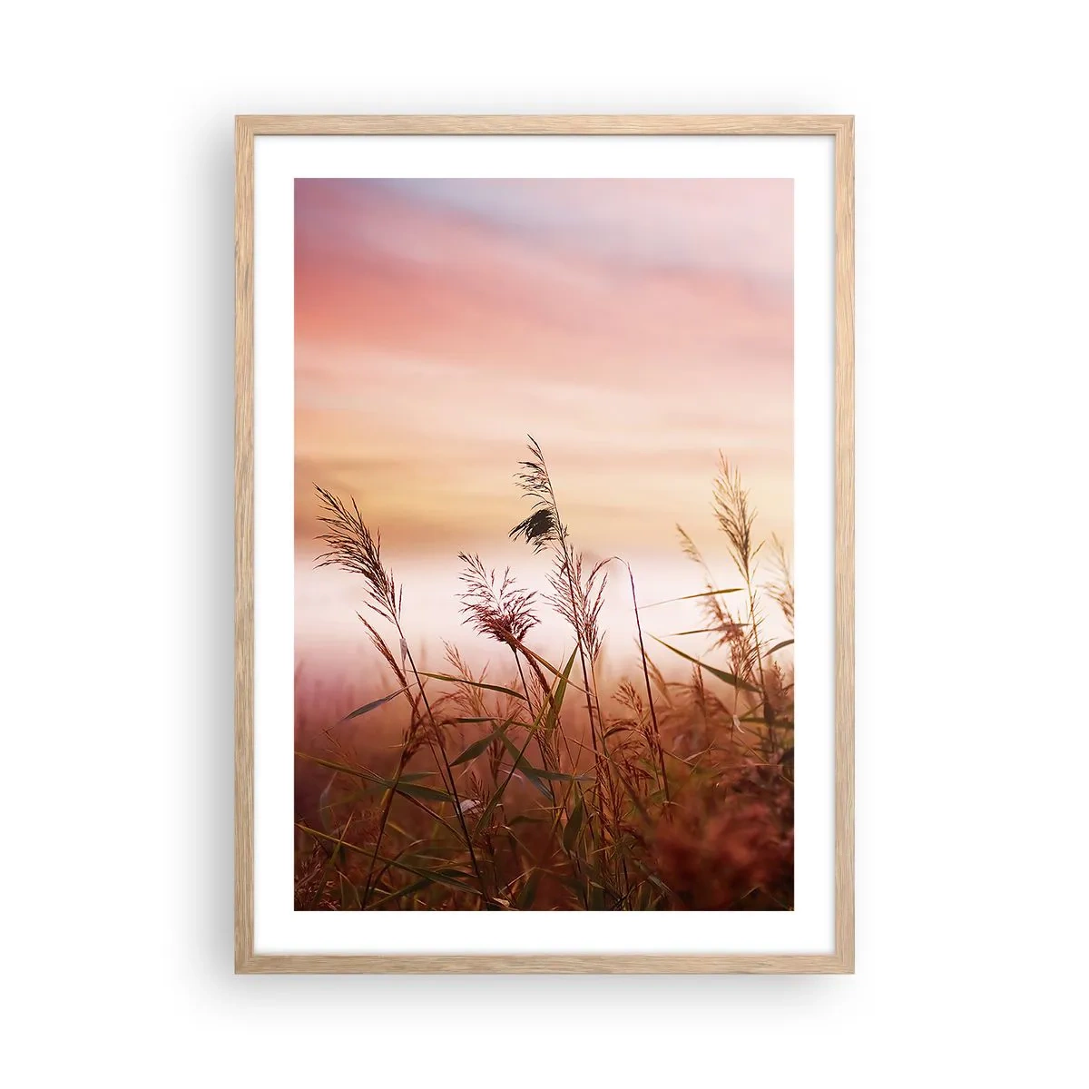 Pôster com moldura de carvalho claro - Papagaios, balões, vento - 50x70 cm