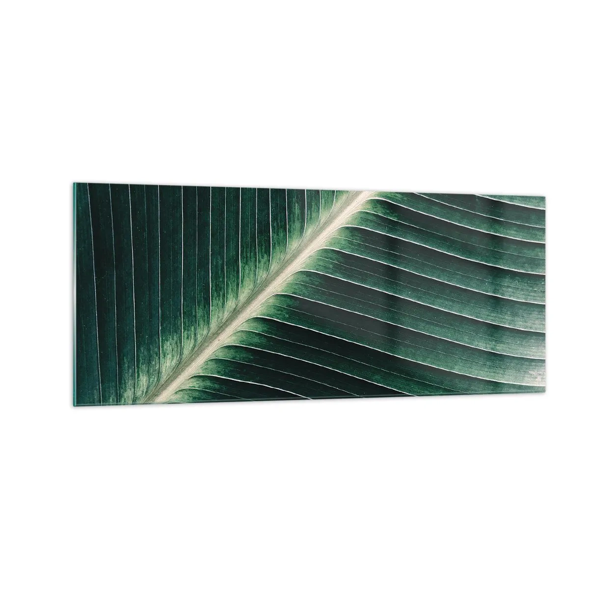 Quadro em vidro - O ritmo da natureza - 100x40 cm