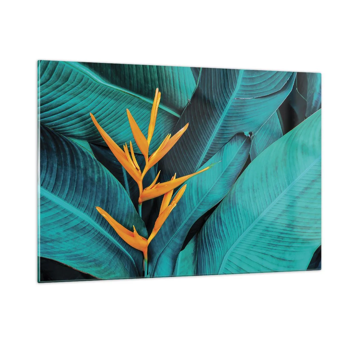 Quadro em vidro - Flor do Éden - 120x80 cm