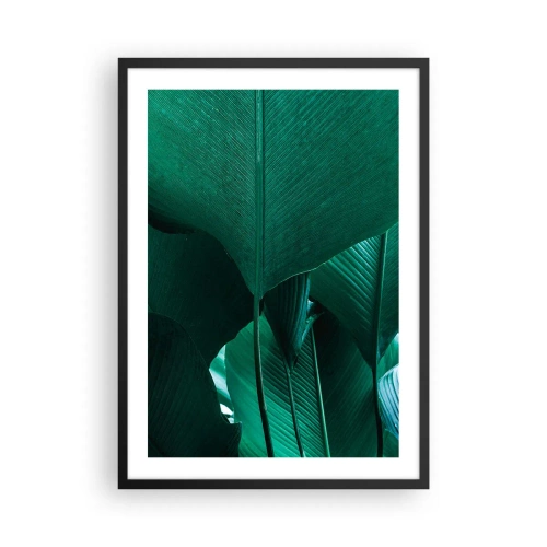 Pôster com moldura preta - Close-up de grandes folhas verdes mostrando estrutura e textura. - 50x70cm - De frente para a luz - Decoração de parede moderna para a sala de estar e quarto ARTTOR