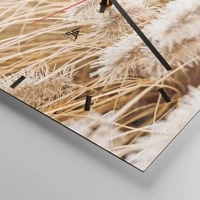 Mostrador com traços