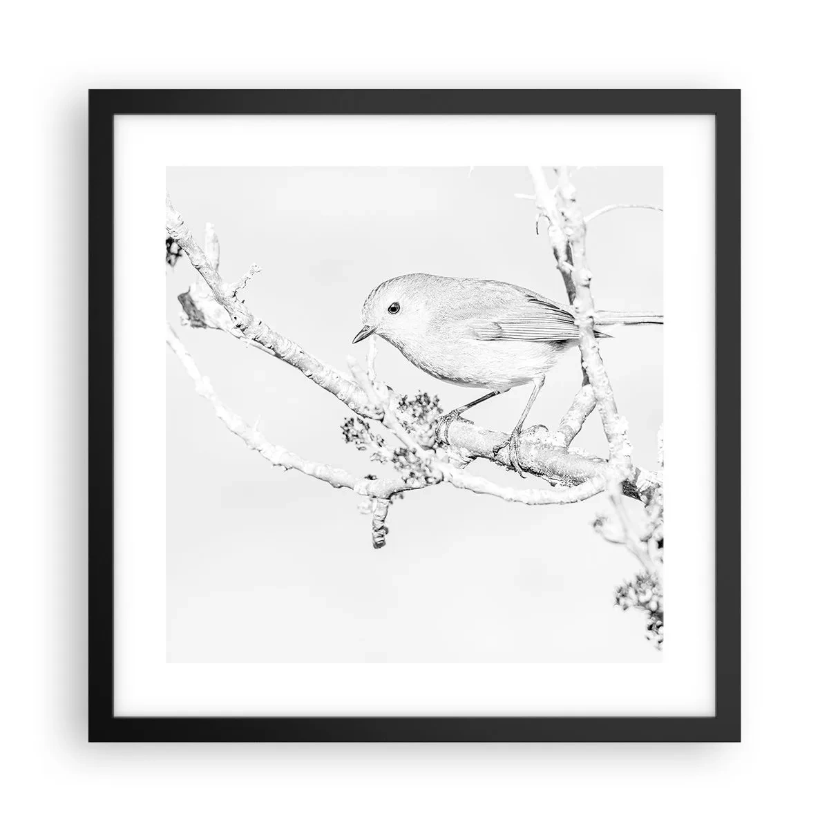 Pôster com moldura preta - Manhã de inverno - 40x40 cm