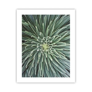 Pôster - Nasce uma estrela - 40x50 cm