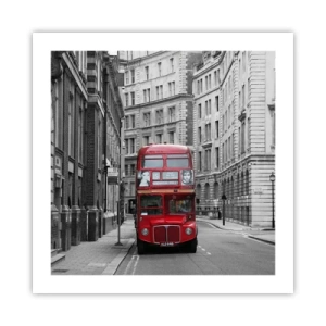 Pôster - A vida quotidiana não deve ser cinzenta - 50x50 cm