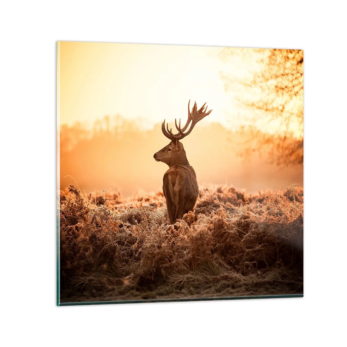 Quadro em vidro - O senhor da propriedade - 70x70 cm