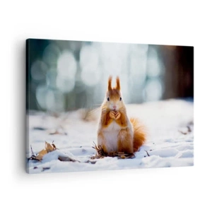 Quadro em tela - Um esquilo em uma paisagem de inverno - 70x50cm - Para o que estás a olhar? - Decoração de parede moderna para a sala de estar e quarto ARTTOR