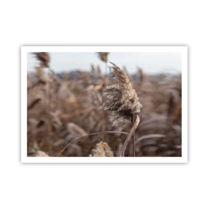 Pôster - É hora de voar com o vento - 100x70 cm