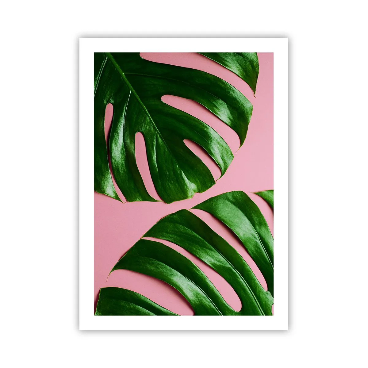 Pôster - Encontro verde - 50x70 cm