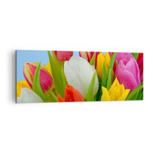 Quadro em tela - Arco-íris floral em gotas de orvalho - 140x50 cm