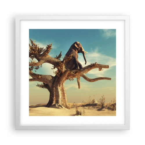 Pôster em moldura branca - Um novo ponto de vista - 40x40 cm