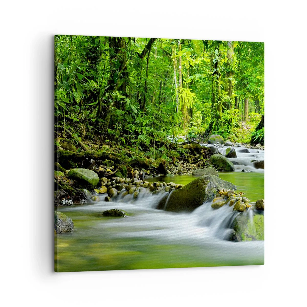 Quadro em tela - Navegar no mar de vegetação - 60x60 cm