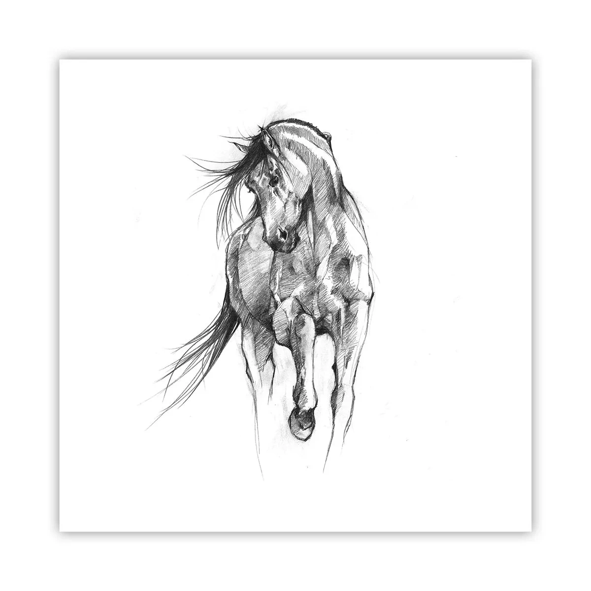 Pôster - Num trote gracioso - 60x60 cm
