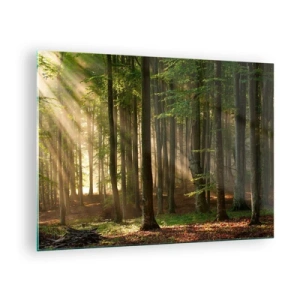 Quadro em vidro - Raios de sol brilhando através das árvores da floresta - 70x50cm - Radiante em uma manhã de primavera - Decoração de parede moderna para a sala de estar e quarto ARTTOR