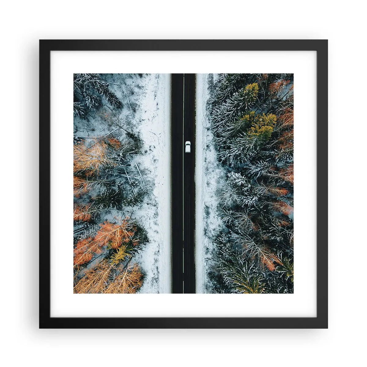 Pôster com moldura preta - Cortar a floresta no inverno - 40x40 cm