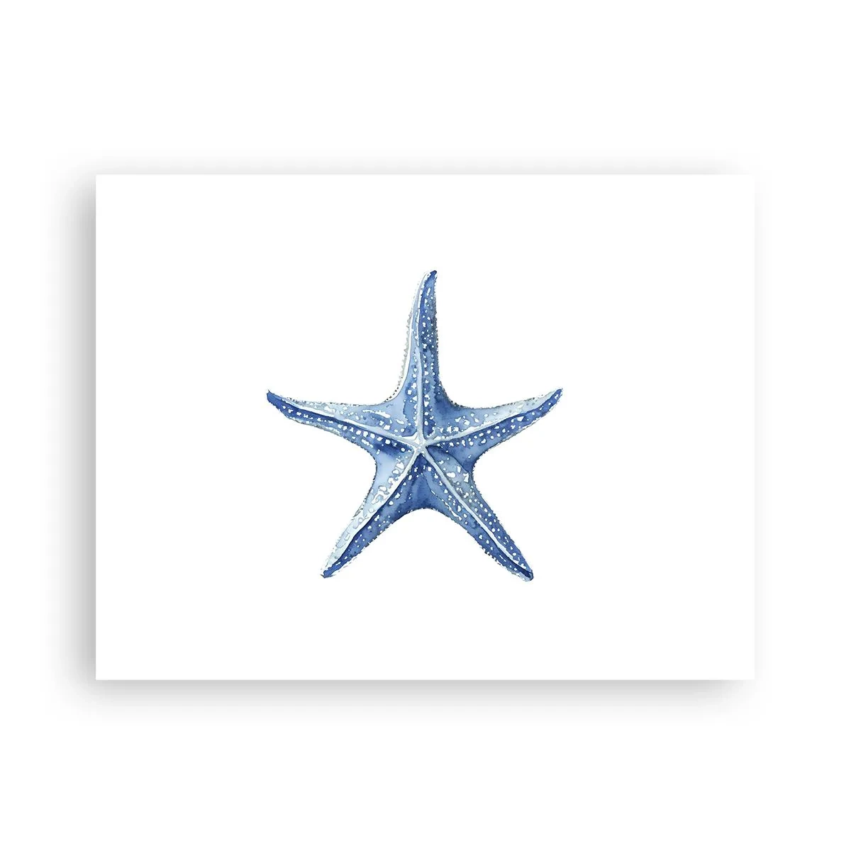 Pôster - Estrela do mar - 40x30 cm