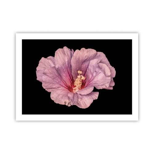 Pôster - Direto para o coração - 70x50 cm