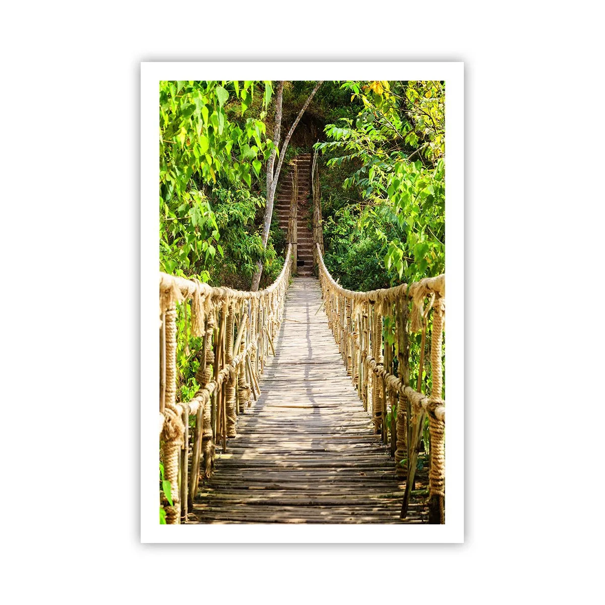 Pôster - Suspenso na vegetação - 61x91 cm
