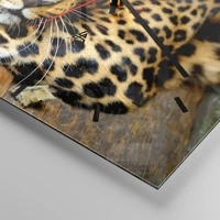 Mostrador com traços