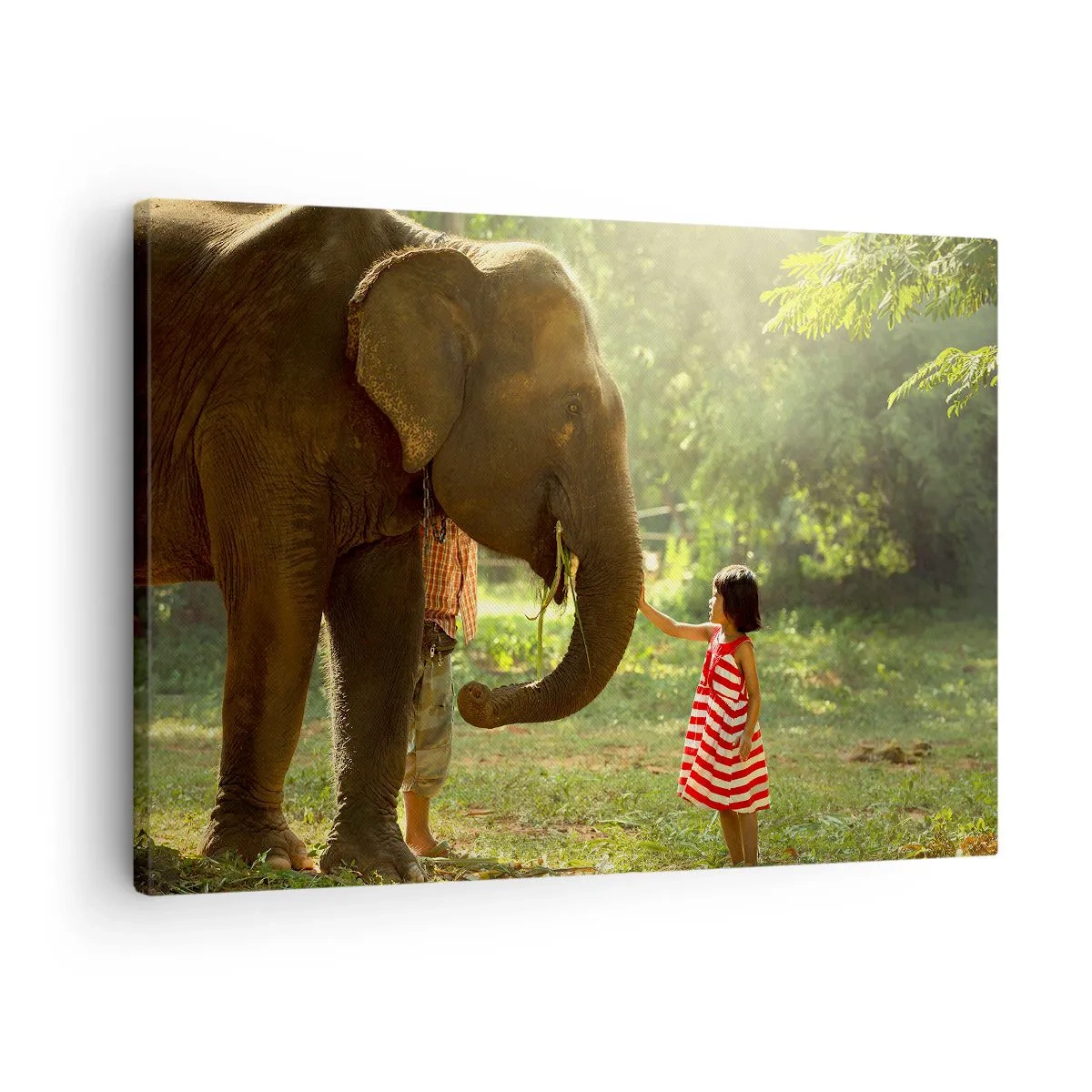 Quadro em tela - Uma garota de vestido vermelho tocando um elefante na floresta. - 70x50cm - O poder da amizade - Decoração de parede moderna para a sala de estar e quarto ARTTOR