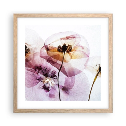 Pôster com moldura de carvalho claro - A transparência das flores - 40x40 cm