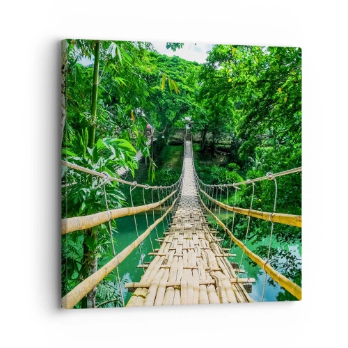 Quadro em tela - Ponte de macacos sobre a vegetação - 30x30 cm
