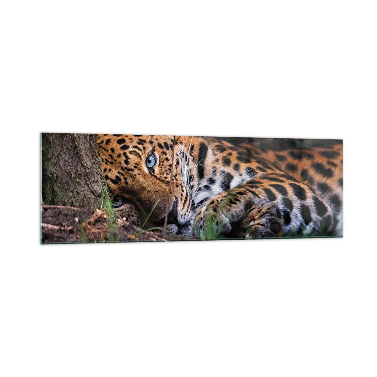 Quadro em vidro - Confie em mim - 160x50 cm