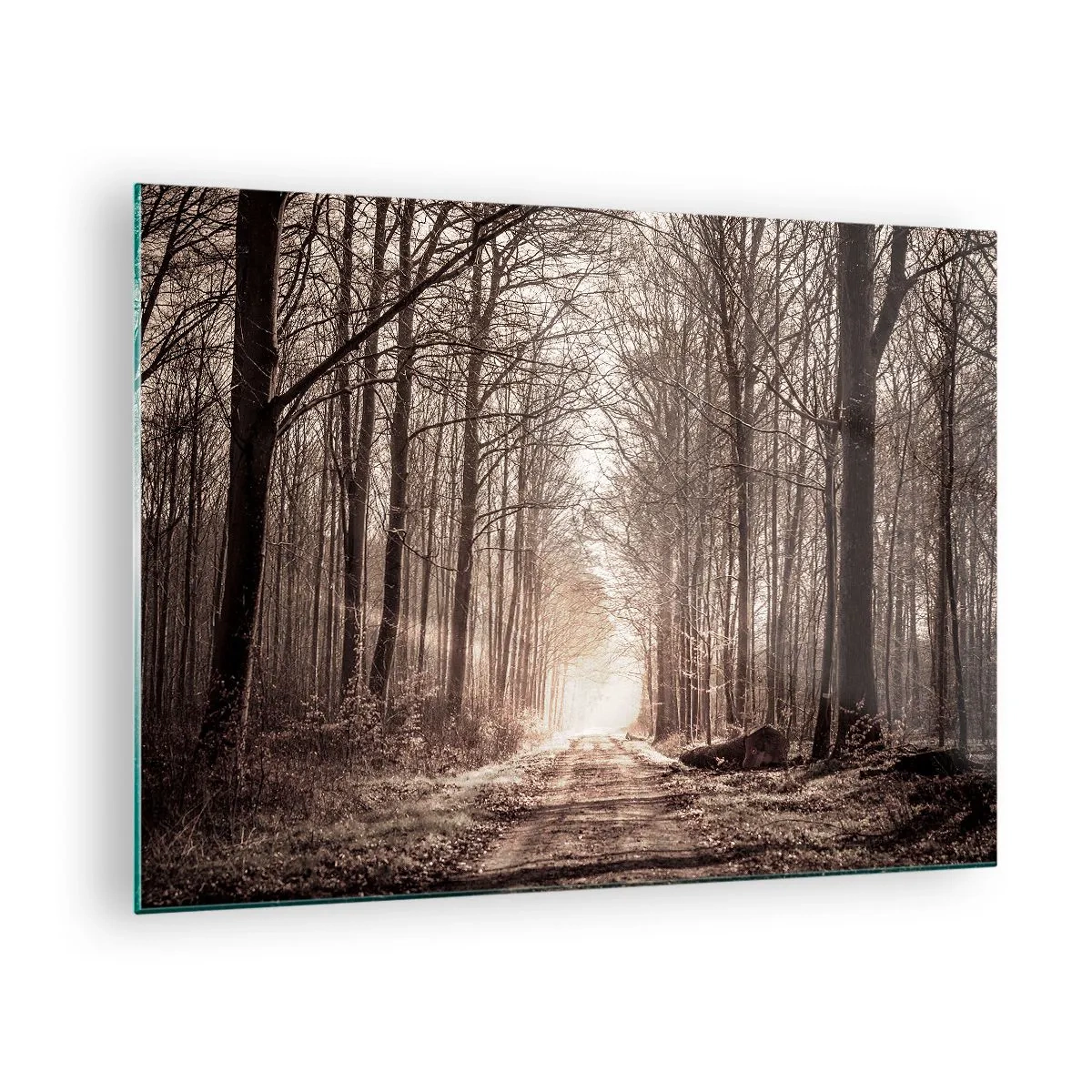 Quadro em vidro - Estrada florestal na neblina da manhã - 70x50cm - Catedral na Floresta - Decoração de parede moderna para a sala de estar e quarto ARTTOR