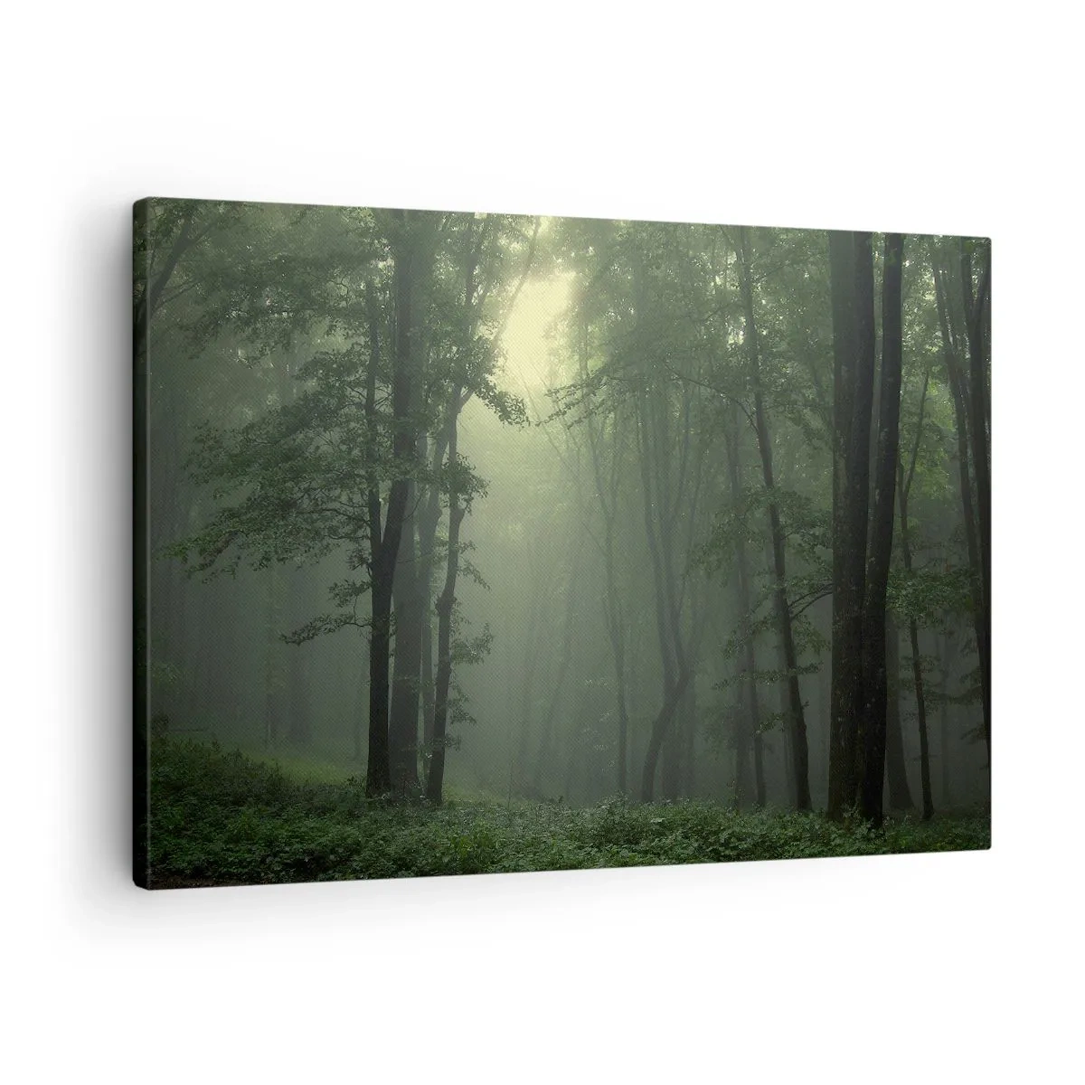 Quadro em tela - Uma floresta verde pela manhã envolta em uma névoa delicada - 70x50cm - Antes de acordar - Decoração de parede moderna para a sala de estar e quarto ARTTOR