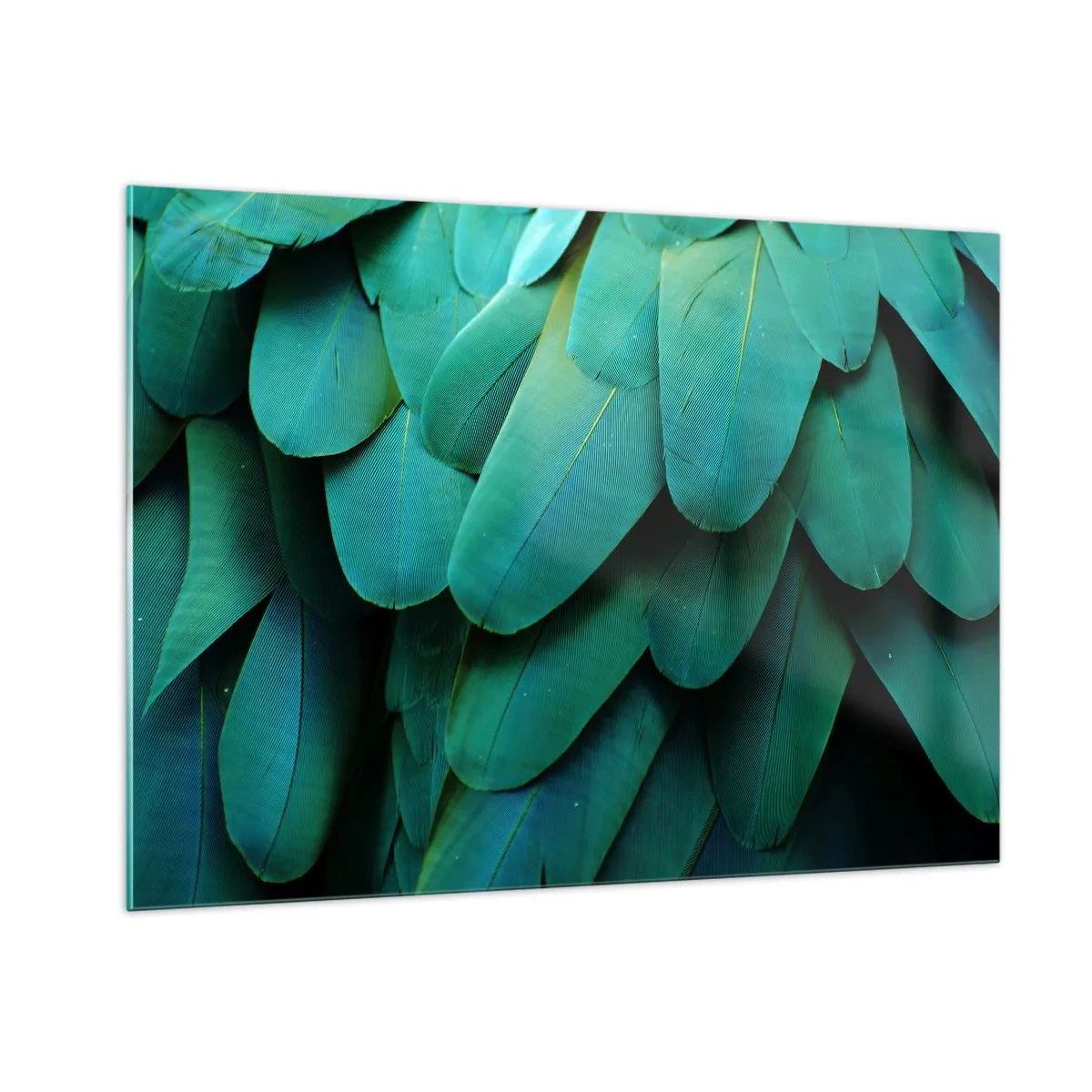 Quadro em vidro - Precisão de papagaio - 100x70 cm