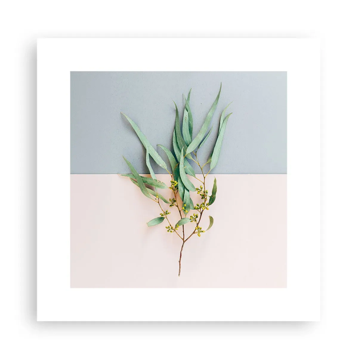 Pôster - Sutileza pastel - 30x30 cm