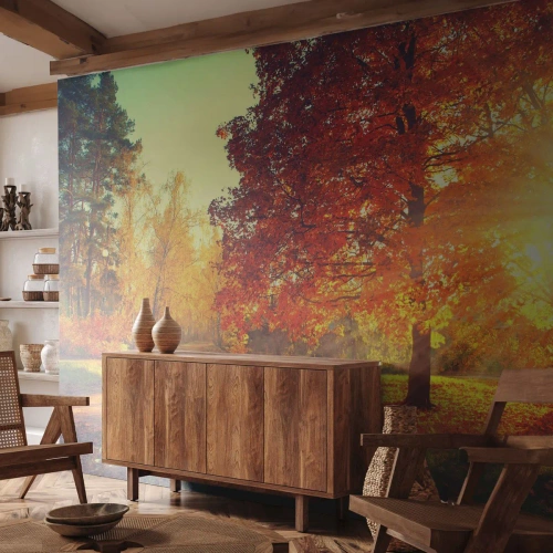 Papel de Parede Standard Eco - O vermelho é lindo - Paisagem, Parque, Natureza - 150x105 cm