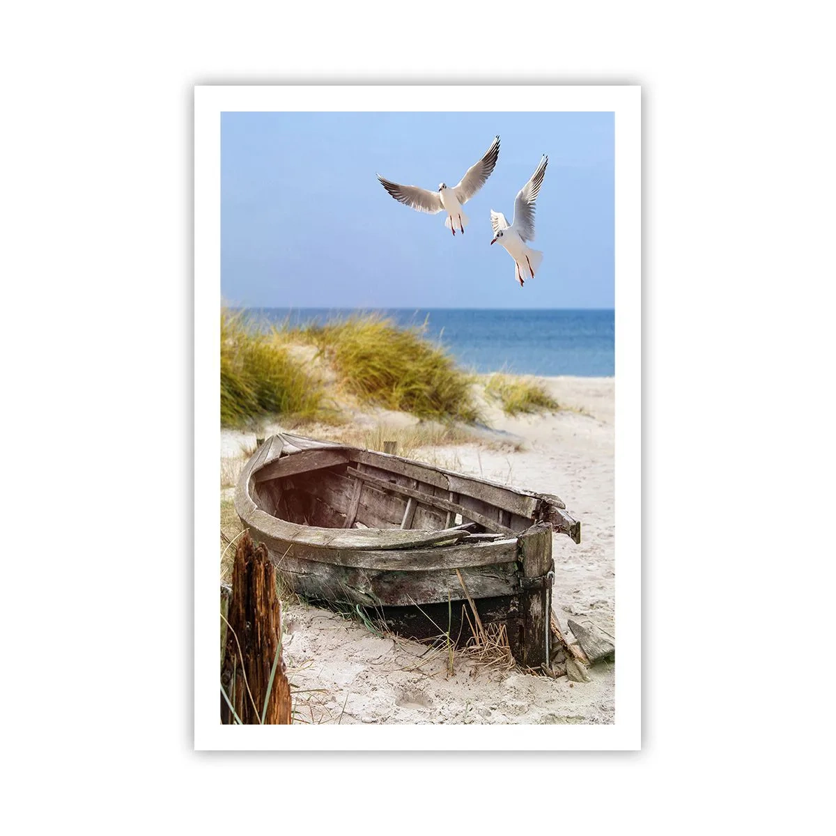 Pôster - Banhado pelo vento - 61x91 cm