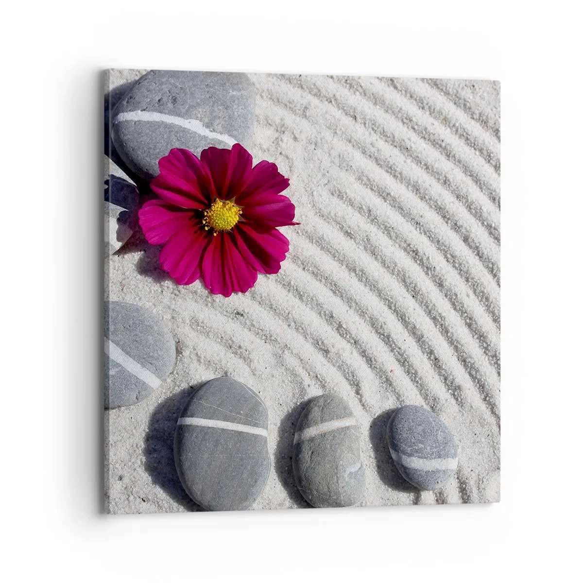 Quadro em tela - Energia e paz do círculo mágico da natureza - 70x70 cm