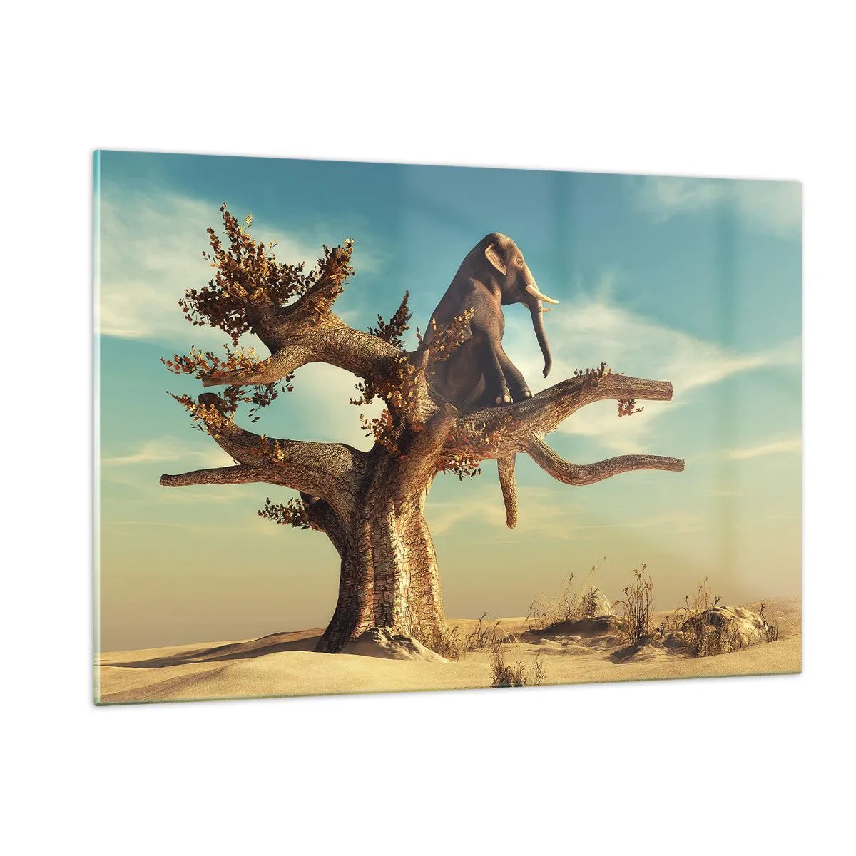 Quadro em vidro - Um novo ponto de vista - 120x80 cm