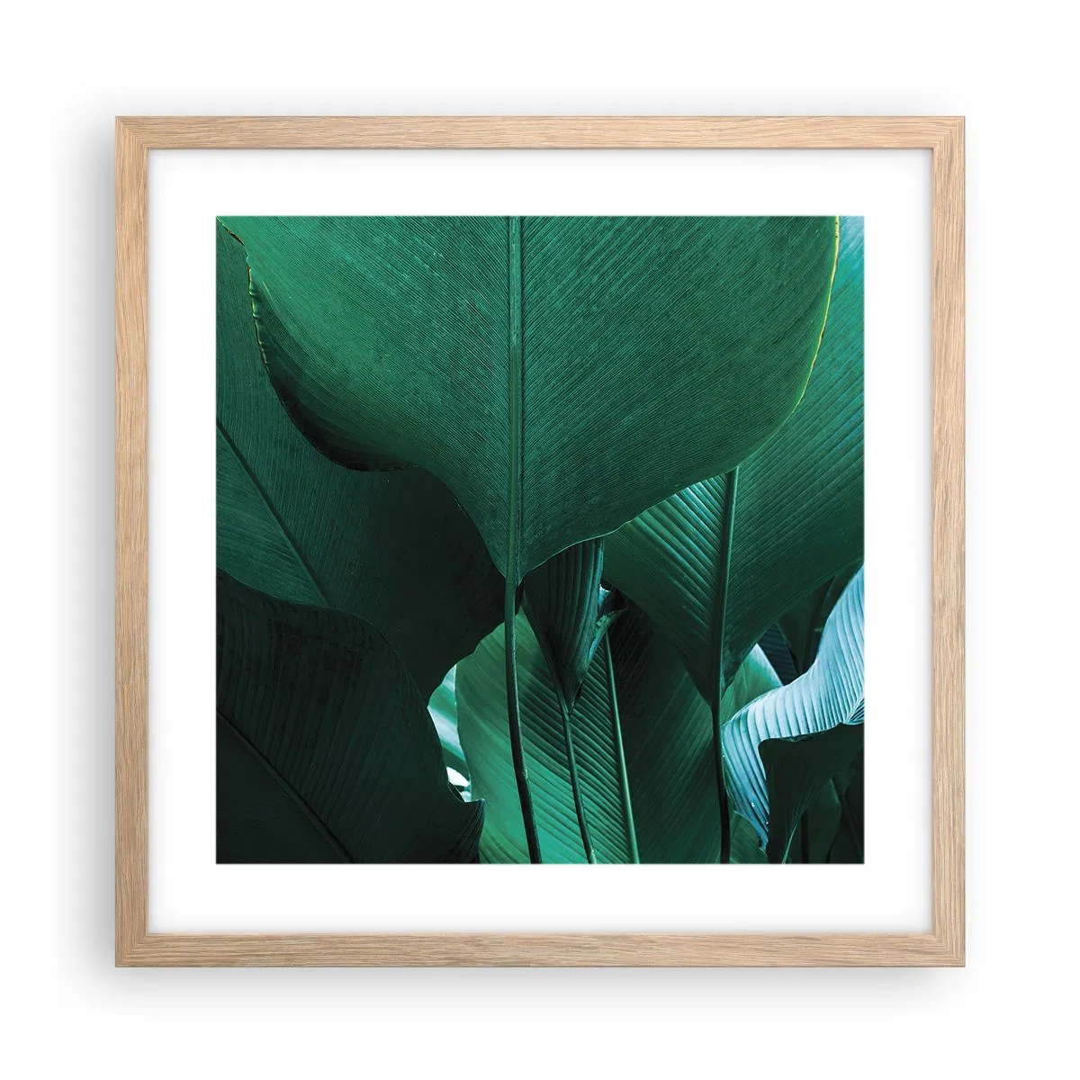 Pôster com moldura de carvalho claro - De frente para a luz - 40x40 cm