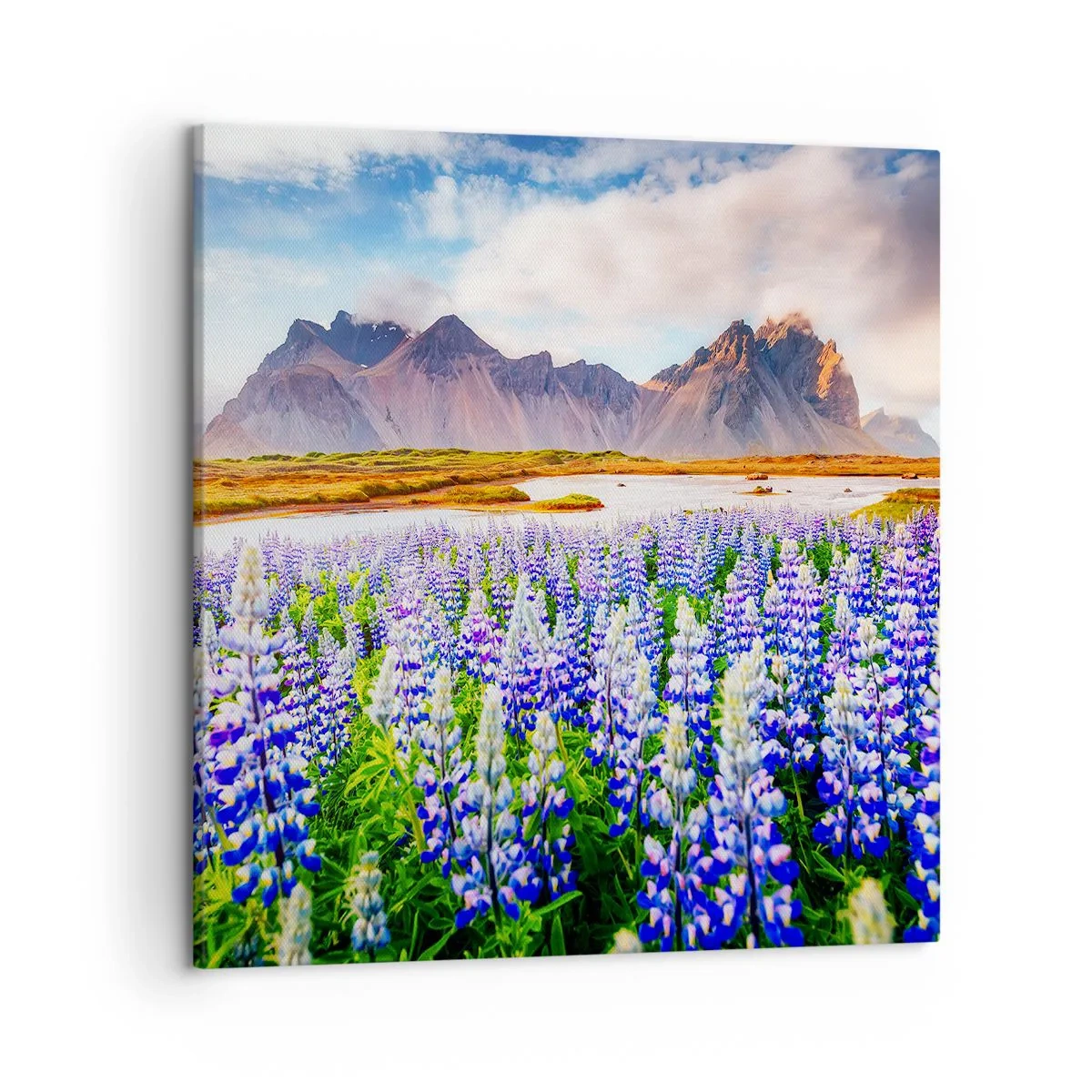 Quadro em tela - Força e severidade ao lado da suavidade - 50x50 cm