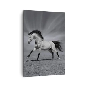 Quadro em tela - Nascido para encantar - 70x100 cm