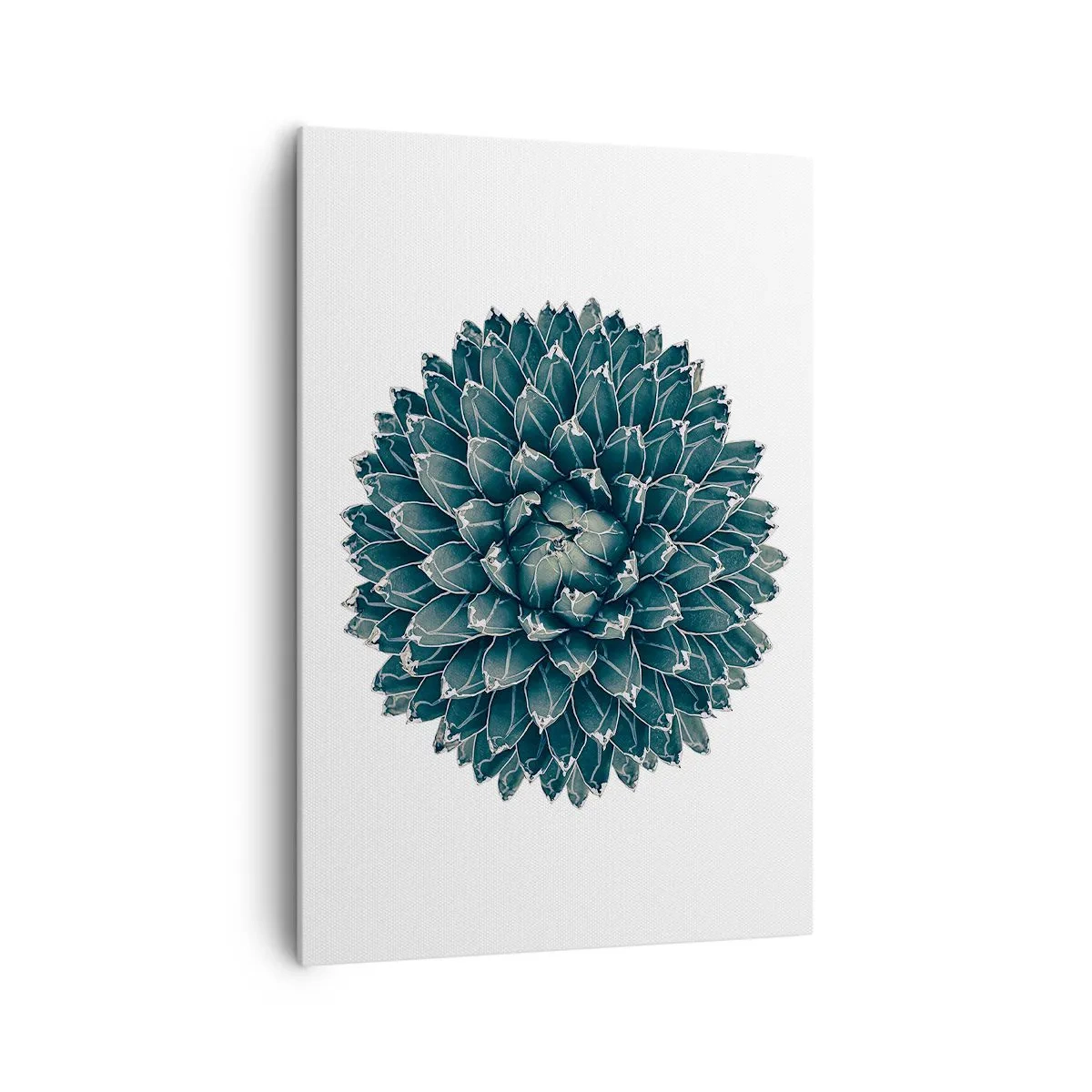 Quadro em tela - Estrela do Deserto - 70x100 cm