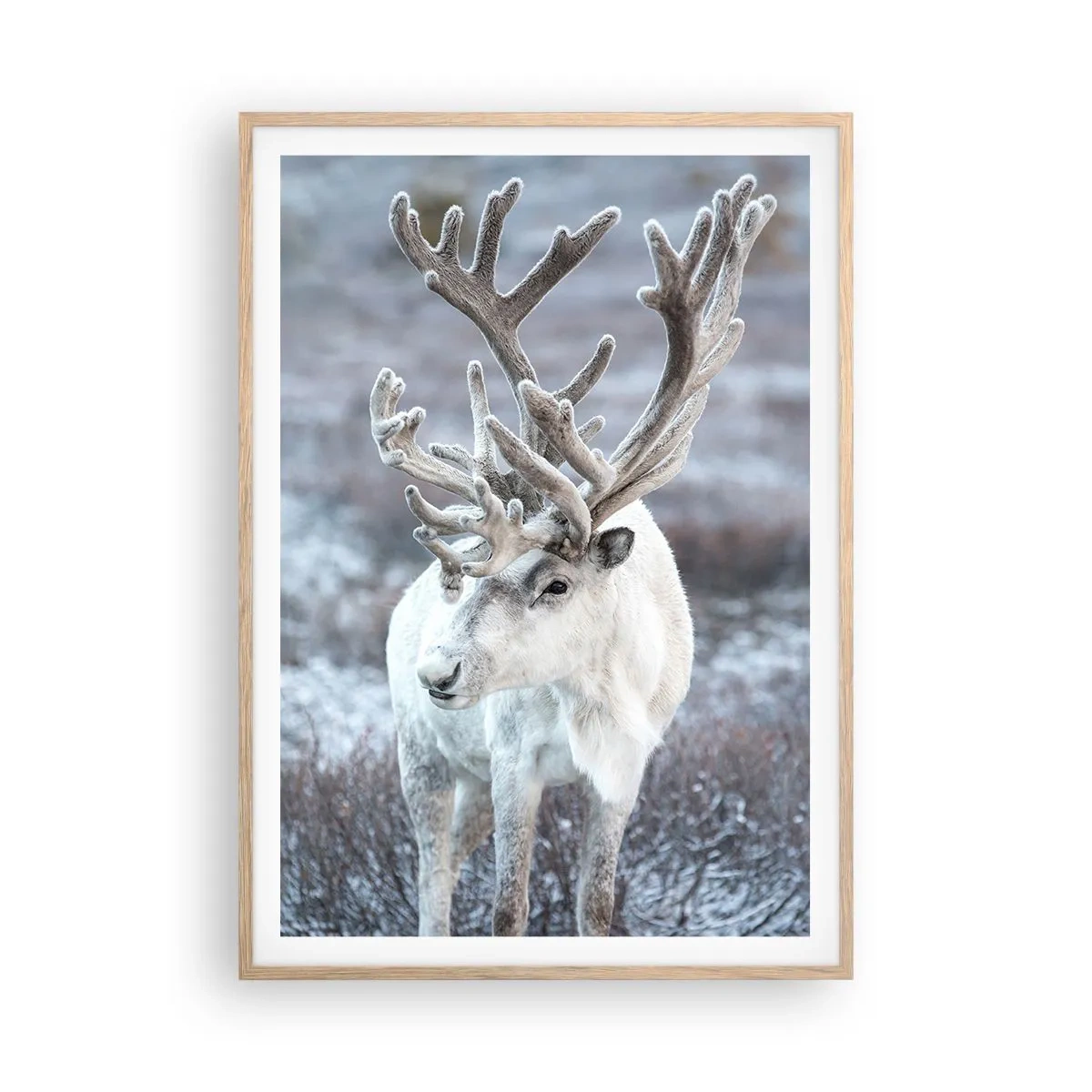 Pôster com moldura de carvalho claro - Retrato ao sol - 70x100 cm