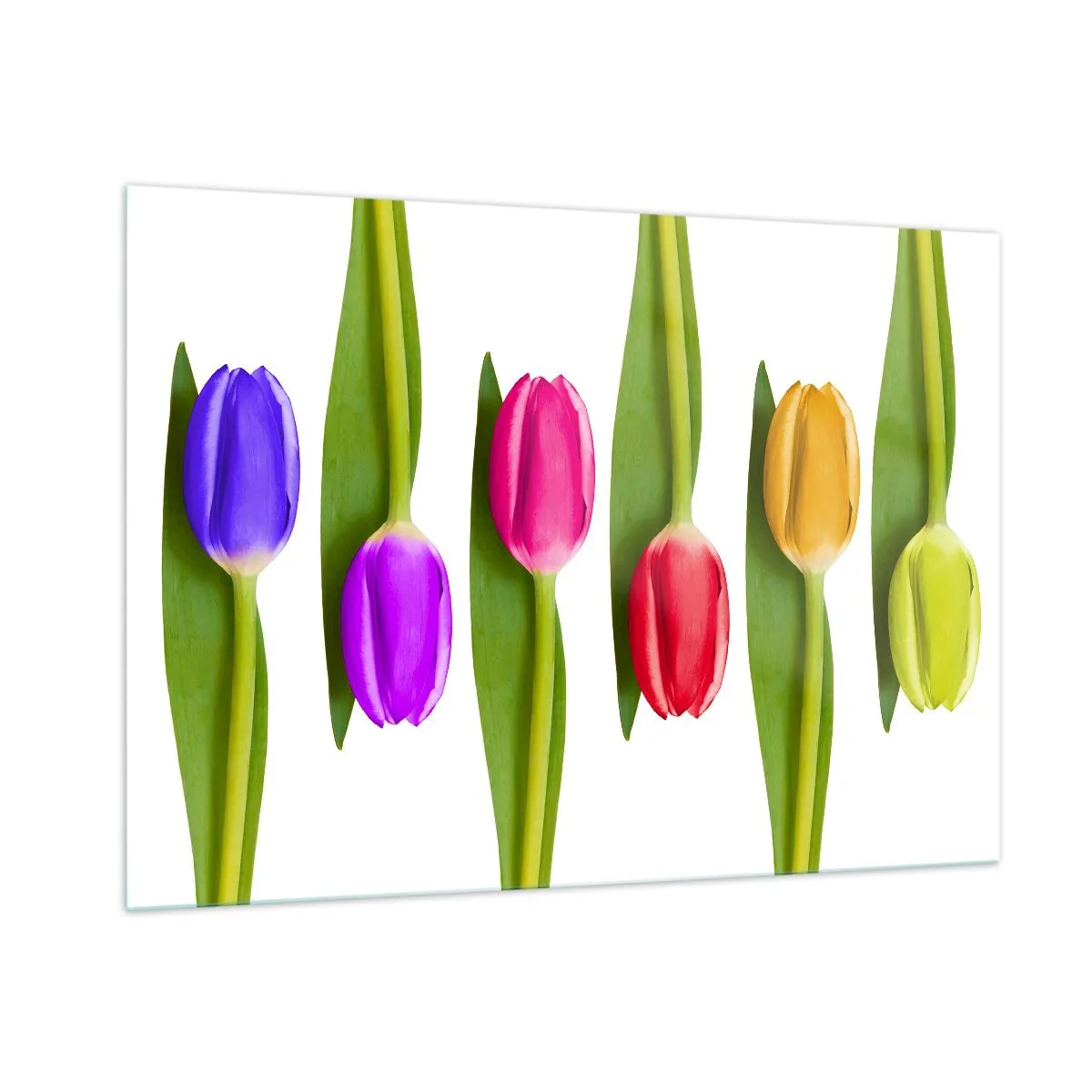 Quadro em vidro - Composição arco-íris - 100x70 cm