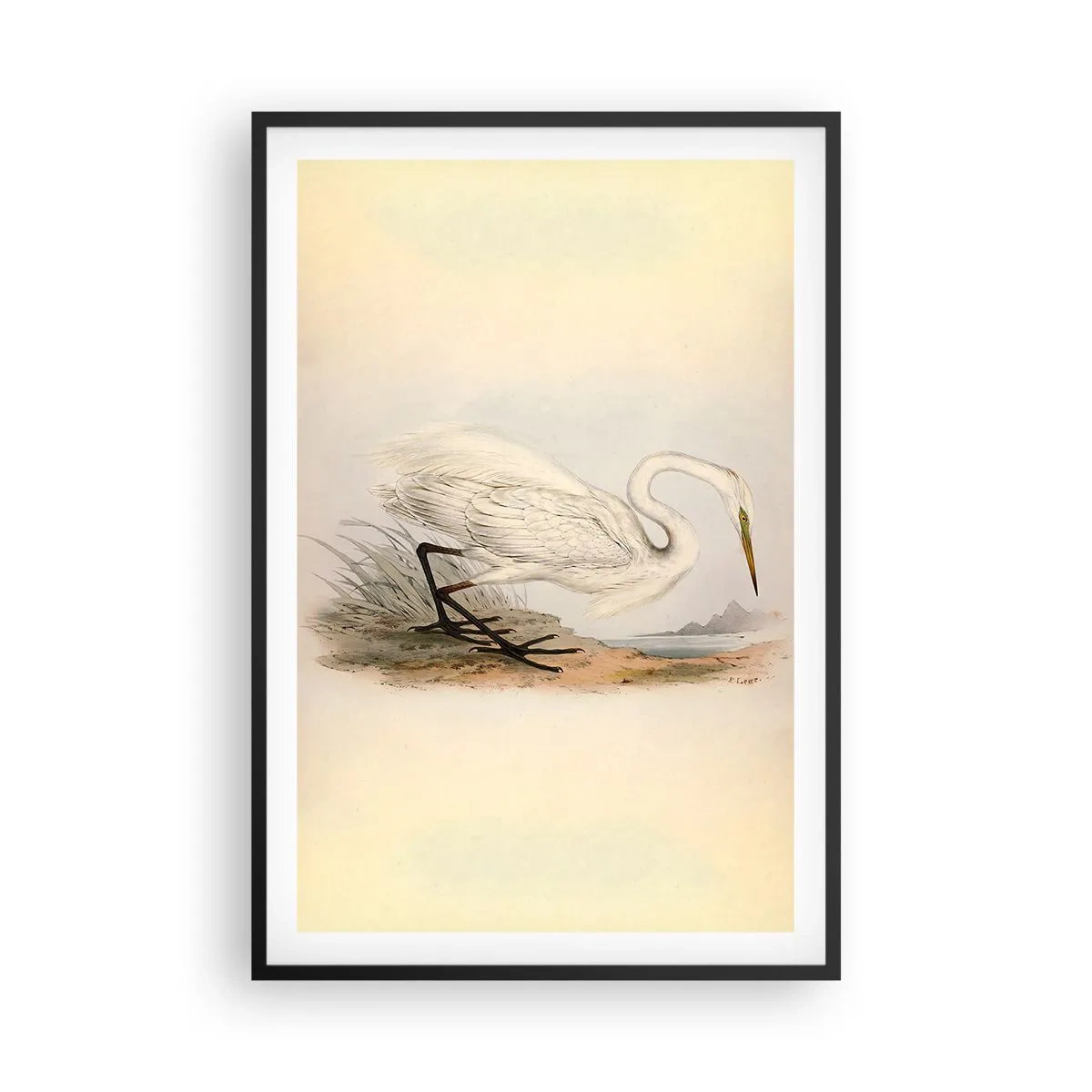 Pôster com moldura preta - A senhora nos juncos - 61x91 cm