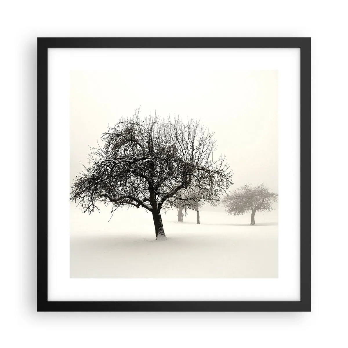 Pôster com moldura preta - Sono de inverno - 40x40 cm
