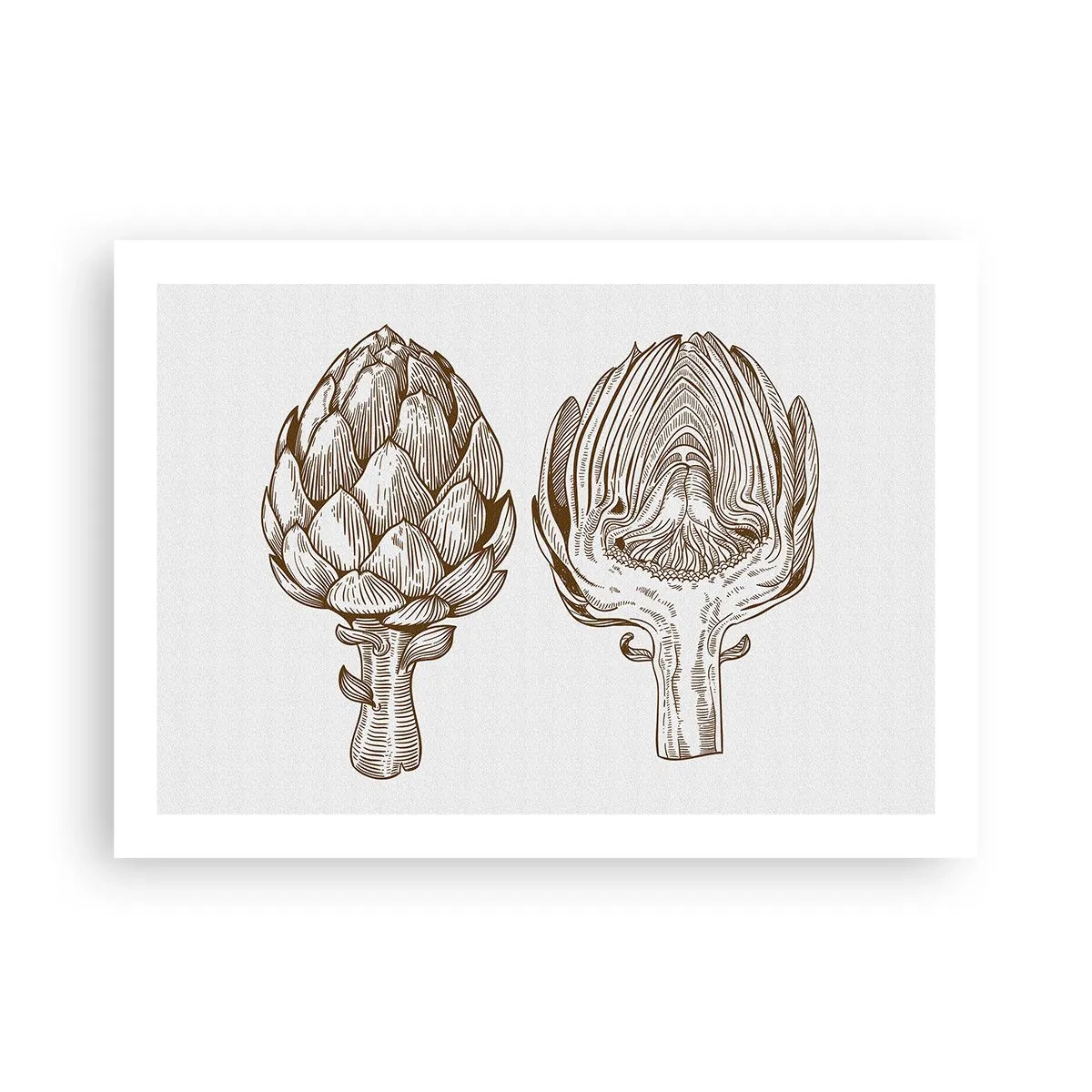 Pôster - Aula de anatomia - 70x50 cm