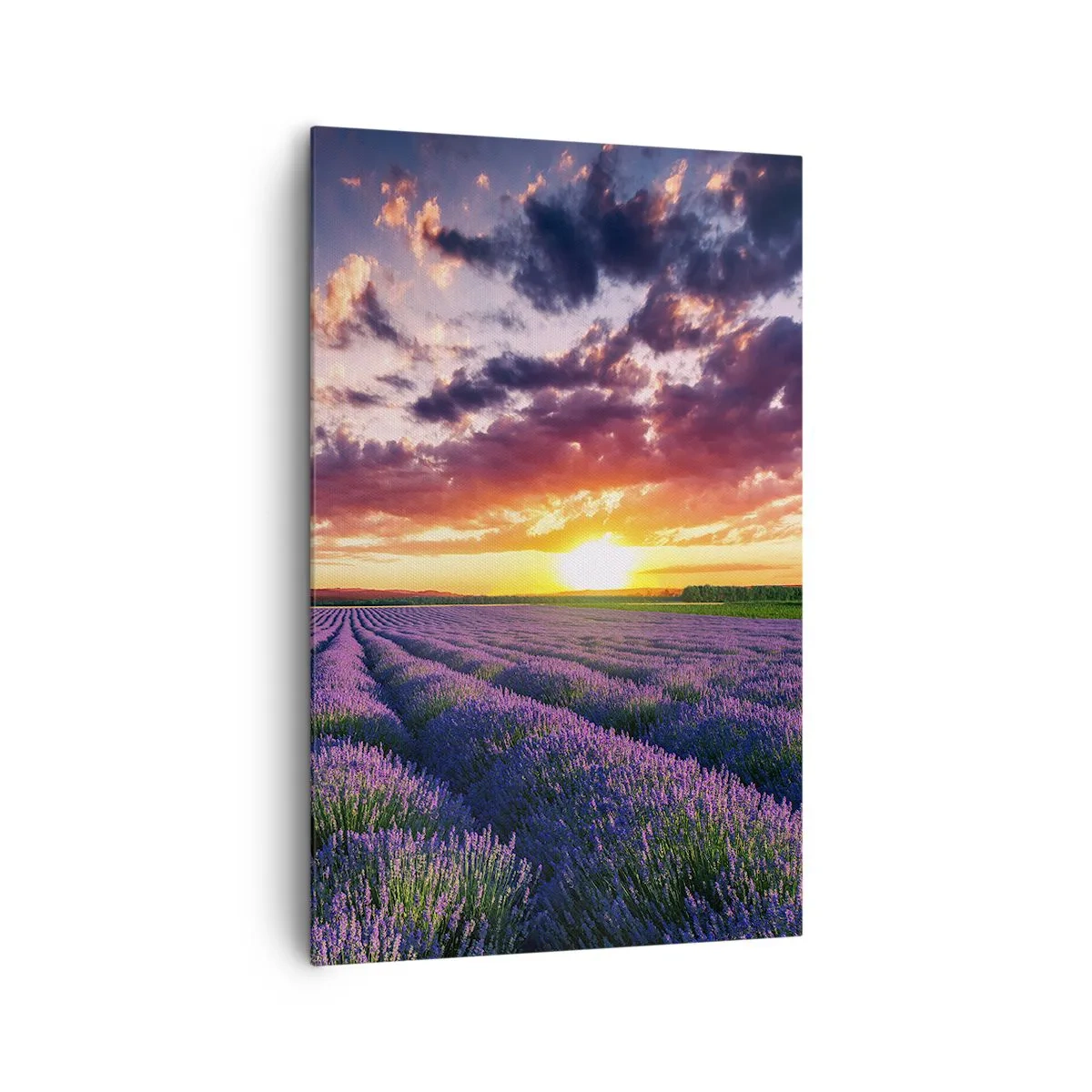 Quadro em tela - O mundo da lavanda - 80x120 cm