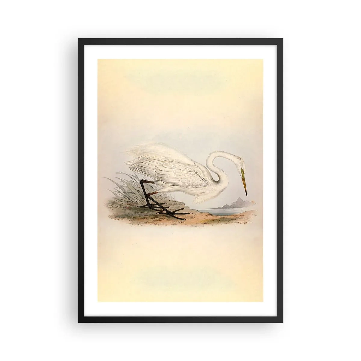 Pôster com moldura preta - Ilustração de uma garça contra um fundo de paisagem pastel - 50x70cm - A senhora nos juncos - Decoração de parede moderna para a sala de estar e quarto ARTTOR