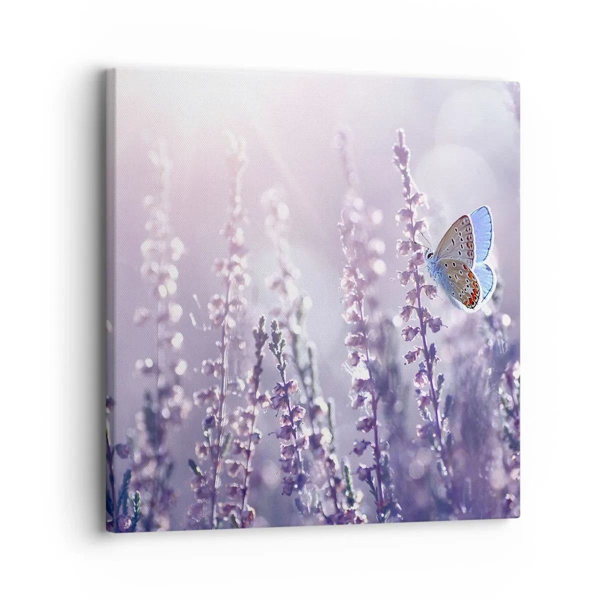 Quadro em tela - O beijo da borboleta - 30x30 cm