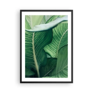 Pôster com moldura preta - Close-up das folhas verdes de uma planta - 50x70cm - Vida intensamente verde - Decoração de parede moderna para a sala de estar e quarto ARTTOR